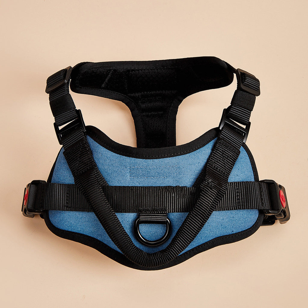Everyday Caramel Harness
