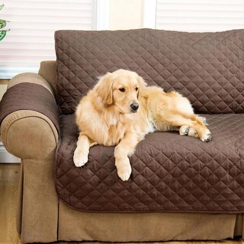 Sofa Shield Couch Cover