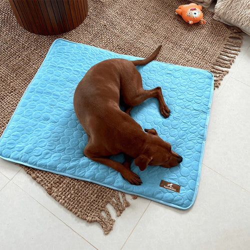 Cooling Mat — Hugo & Co