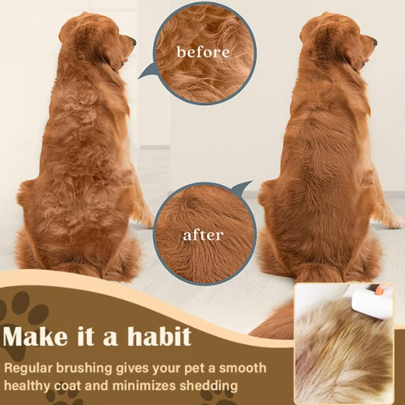 Nose-to-Tail Grooming Set