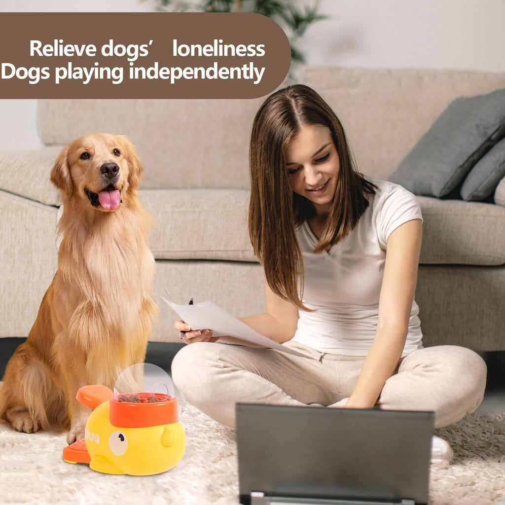 Interactive Treat Puzzle