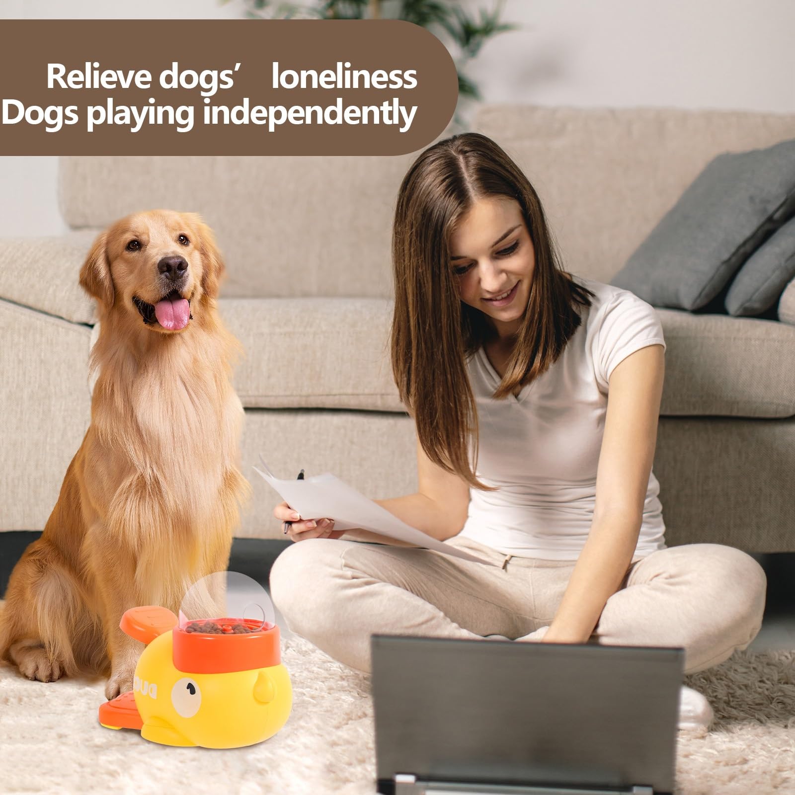 Interactive Treat Puzzle